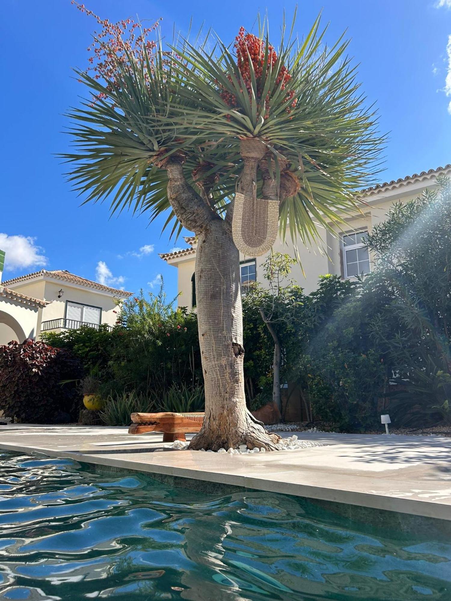 Villa Ibiza - Beautiful House With Private Pool Chayofa Exterior photo
